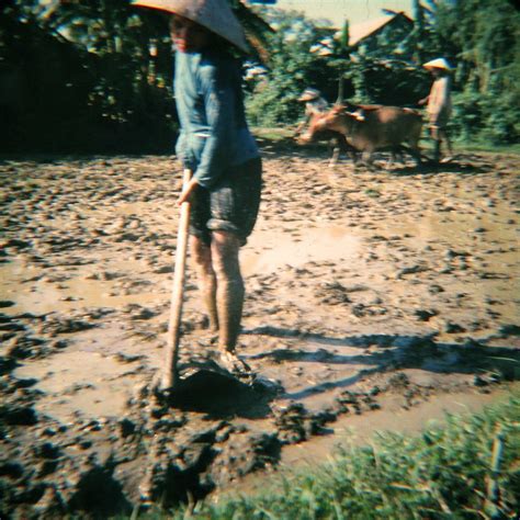 cleaning mud Vietnam|Mud, Mud, Everywhere! .